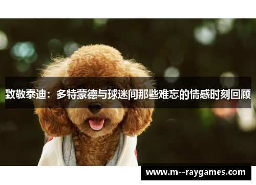 致敬泰迪：多特蒙德与球迷间那些难忘的情感时刻回顾