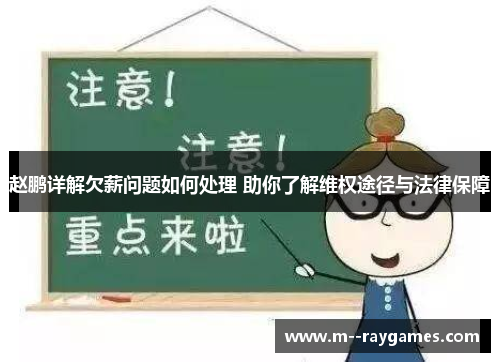 赵鹏详解欠薪问题如何处理 助你了解维权途径与法律保障