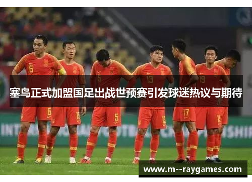 塞鸟正式加盟国足出战世预赛引发球迷热议与期待