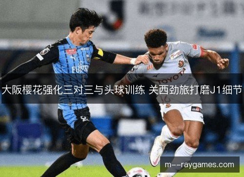 大阪樱花强化三对三与头球训练 关西劲旅打磨J1细节 大阪樱花强化三对三与头球训练 关西劲旅打磨J1细节